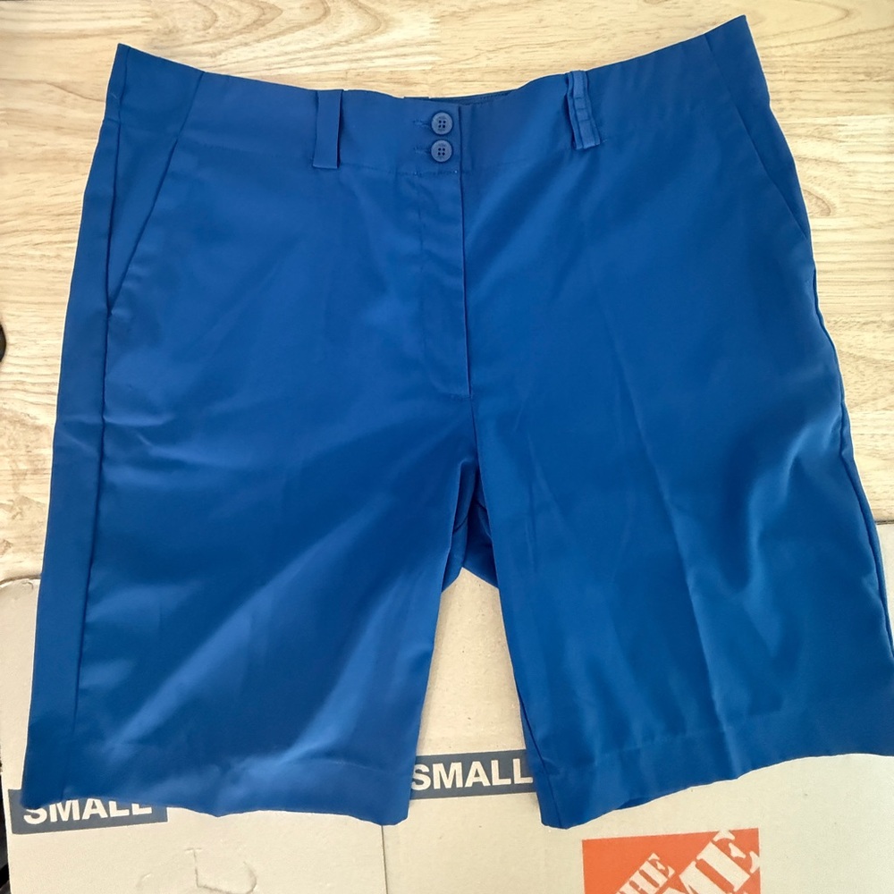Nike Dri Fit Standard Fit Flat Front Golf Shorts (Men's 16) Blue
